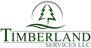 Timberland SVC Leasing